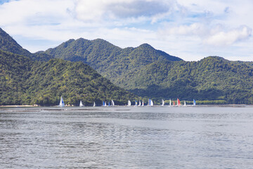 厳島、沿岸に見えるカラフルなヨットのセールの群れ