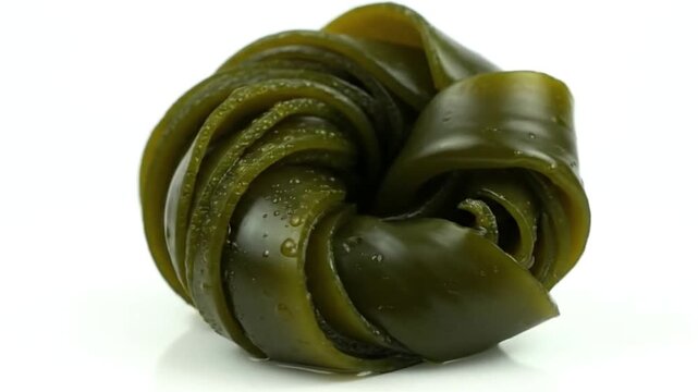 Closeup of spiraled dark green seaweed with water droplets on a white reflective surface