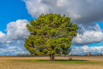 Clouds and a Winter sky over rural land