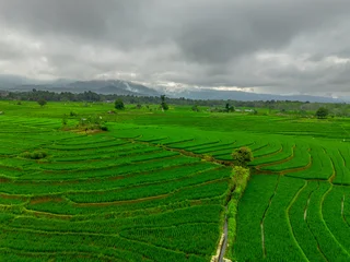 Foto auf Acrylglas Grün Beautiful morning view indonesia panorama landscape forest with beauty color and sky natural light  © rahmadhimawan