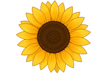 Fototapeta premium Bright yellow sunflower illustration with detailed brown center, perfect for summer designs and nature themes