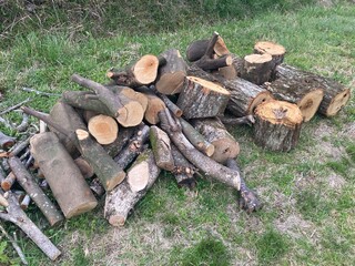 stack of firewood