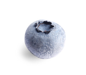 One ripe frozen blueberry isolated on white