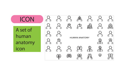 A set of human anatomy line art icon