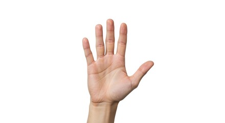 Fototapeta premium Hand showing five fingers raised against white background open hand