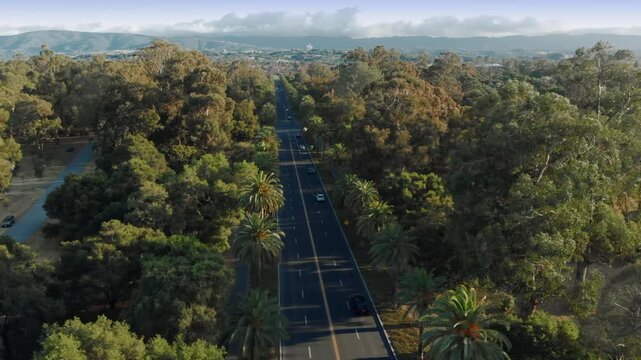 Aerial view of a road cutting through Stanford University, Palo Alto, California, USA. The road provides access through the university.