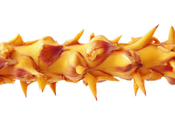 A vibrant close-up of a spiky yellow-orange plant stem showcasing its unique texture and color, set against a plain background, ideal for botanical studies or design use