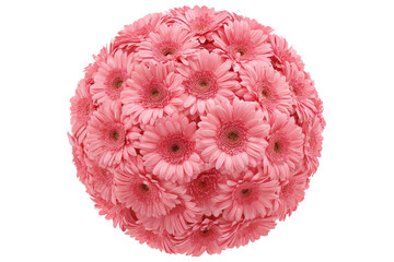 A vibrant spherical arrangement of pink gerbera daisies, showcasing their intricate layers and textures, set against a clean background, ideal for floral decoration or design projects