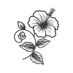 Black Hibiscus Illustration - Thin Line Floral Sketch
