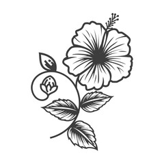 Hibiscus Art - Elegant Tropical Flower Clipart
