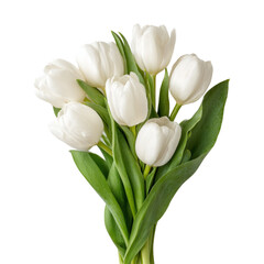 A vibrant bouquet of white tulips elegantly arranged with lush green leaves, showcasing their delicate petals against a clean background, perfect for floral arrangements or spring themes