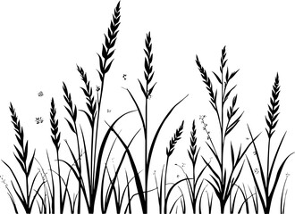 Black Wheat Grass Silhouette Isolated on White Background