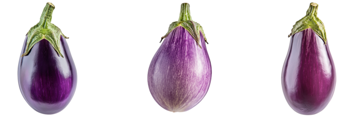 Three Different Eggplant Varieties Isolated on White