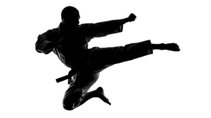Martial Arts Silhouette: A focused individual executes a dynamic martial arts kick, a striking silhouette showcasing the power and elegance of this disciplined practice.