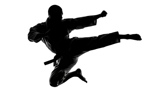 Martial Arts Silhouette: A focused individual executes a dynamic martial arts kick, a striking silhouette showcasing the power and elegance of this disciplined practice.