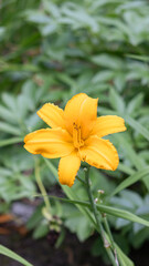 What you can find in nature