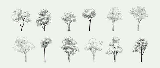 Set of trees element nature hand drawing symbol for architecture and landscape vector illustration. Isolated on white background.