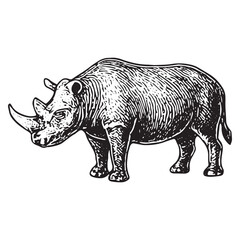 Fototapeta premium Classic Black and White Drawing of a Rhinoceros with Horns and Robust Build