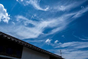青空に映える白い雲と羽ばたく鳥たち