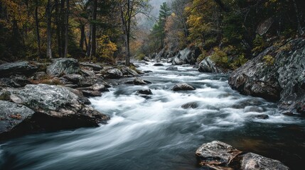 Obraz premium Serene Autumn River Flowing Through Rocky Forest