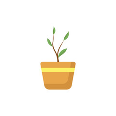 Small Green Plant Growing in a Pot, Symbolizing Growth