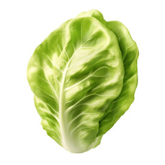 Fresh Green Butter Lettuce On White. Healthy Eating Concept For Salads And Vegetarian Diets. Natural Vitamins And Minerals.