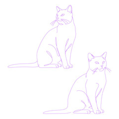 sitting cat minimal lineart illustration