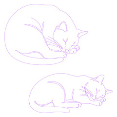 sleeping cat minimal lineart illustration