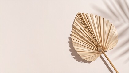 A minimalist background with a dried palm leaf and a sharp shadow. A warm, bohemian, and natural concept