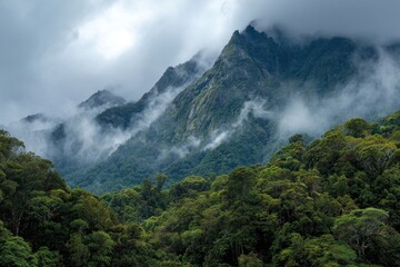 Misty mountain range shrouded in clouds above lush rainforest