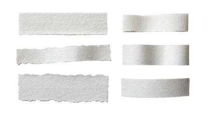 A series of torn pieces of paper, each with a different shape and size