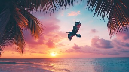 A stock photo of a tropical beach at sunset, with a colorful bird flying overhead. The bird's silhouette is framed by the vibrant colors of the sky.