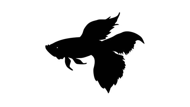 Silhouette of a betta fish with flowing fins and tail swimming gracefully in a simple black and white design