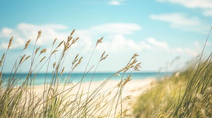 Obraz premium Grass swaying in the wind on a sandy beach with a clear blue sky in the background.