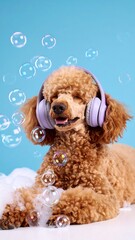 A fluffy apricot poodle wearing lavender headphones lies amidst soap bubbles against a light blue backdrop