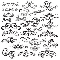 Fototapeta premium Adobe Illustrator Artwork