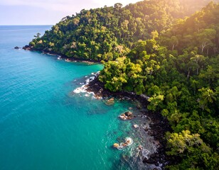 Obraz premium Idyllic tropical island coastline with lush green forest and turquoise sea