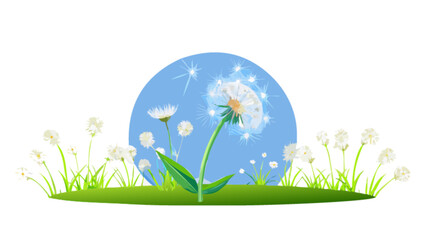 Obraz premium Dandelion flower vector illustration with blue background for spring nature floral design and decoration