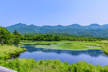 北海道知床半島の知床五湖を歩く初夏の風景。6月、澄み渡る青空の下、豊かな原生林と湖面に映る空と山々が美しい絶景。