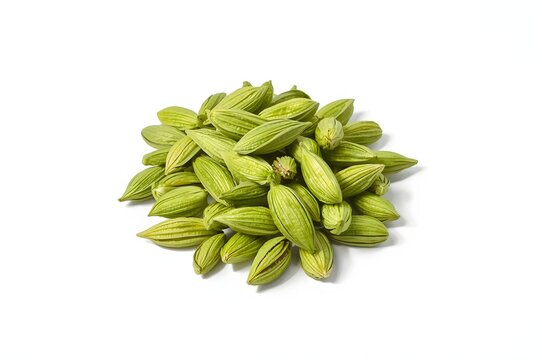 Heap of cardamom pods Elettaria cardamomum isolated on white beckground