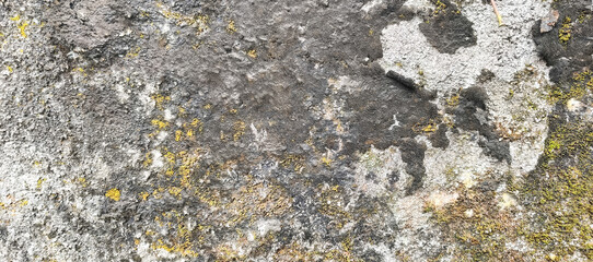 stone wall background