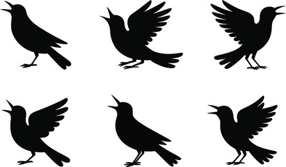 Obraz premium Silhouettes of singing birds