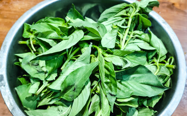 close up of fresh green leaves