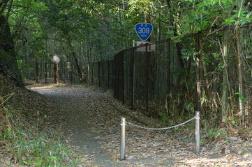 遊歩道となった国道308号