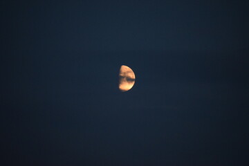 moon in the night
