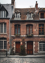 Fototapeta premium This image captures the charming exterior of a historic brick building. The photo showcases a cobblestone street lined with assorted buildings in the background.