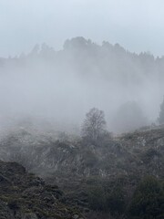 Obraz premium fog in the mountains