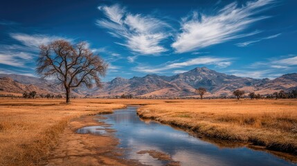 Fototapeta premium Golden valley, lone tree, clear stream, mountains, blue sky