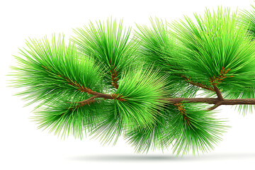 Bright green pine branch with needles isolated on white background
