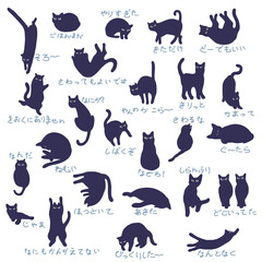 A collection of unique and interesting cat images,